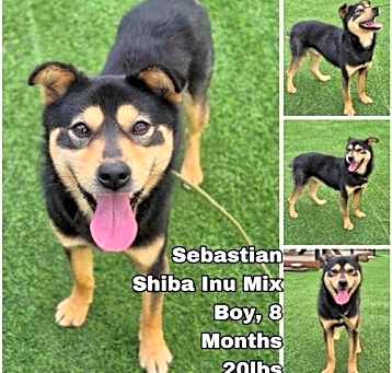 Photo of Sebastian from Korea