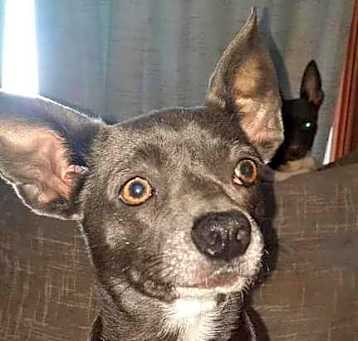 Photo of Sofie