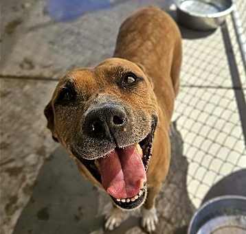 Photo of Daisy