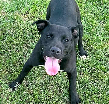 Photo of Tasha