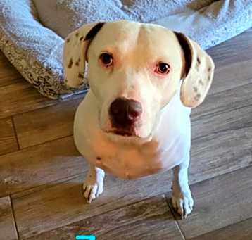 Photo of ZEUS