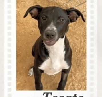 Photo of Tecate