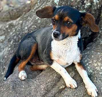 Photo of Tootie