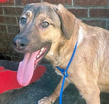 Photo of SNEEZY