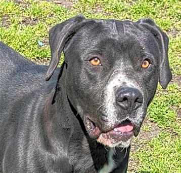 Photo of Bruce