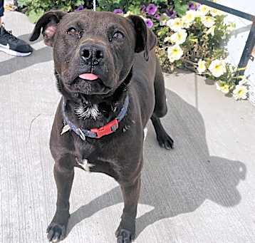 Photo of Chocolat