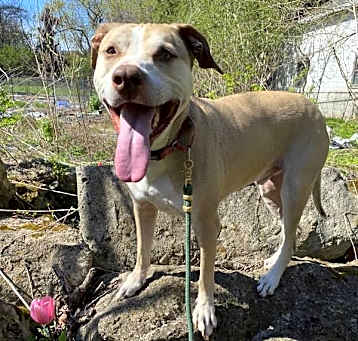 Photo of Oakley