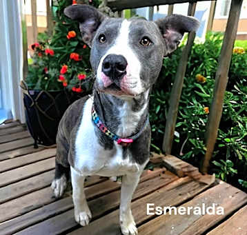 Photo of Esmerelda