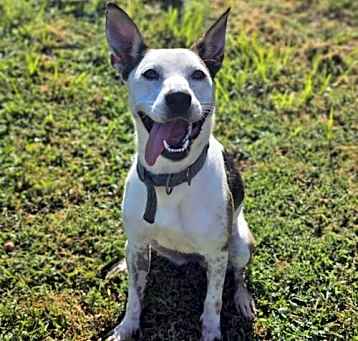 Photo of Moxie