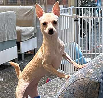 Photo of Roo