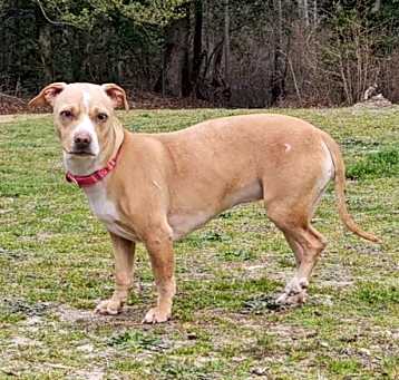 Photo of Sandy