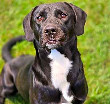 Photo of Timber
