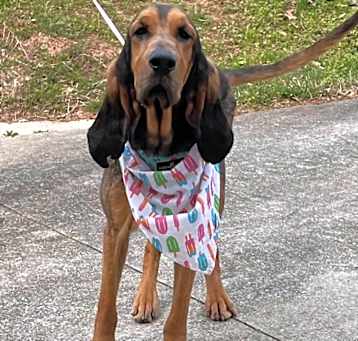 Photo of Macy GA