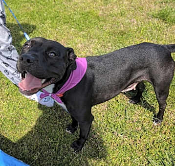 Photo of Athena