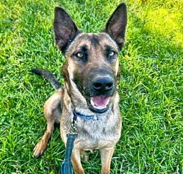 Photo of Hans FULLY SPONSORED!