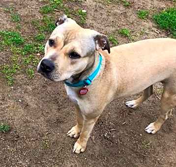 Photo of SHYLA