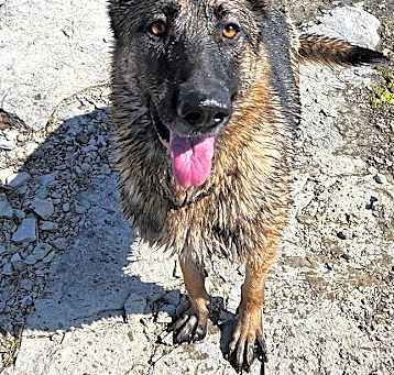 Photo of Storm