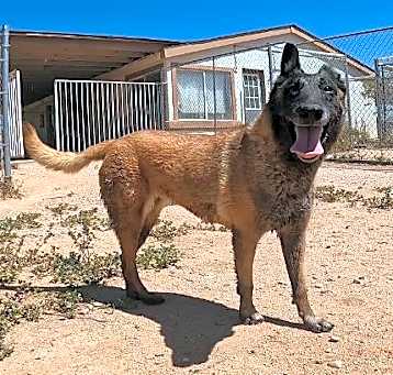 Photo of Lakota