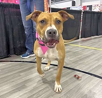 Photo of Candy