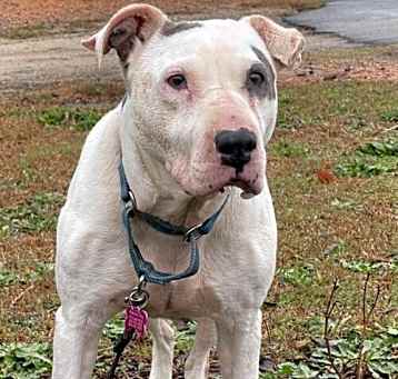 Photo of Mavis