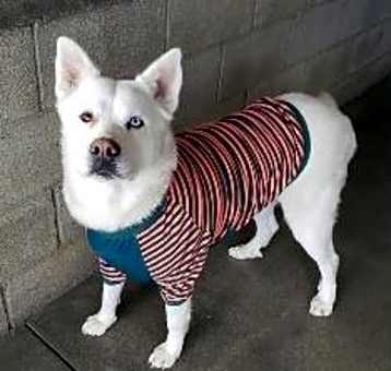 Photo of Blue
