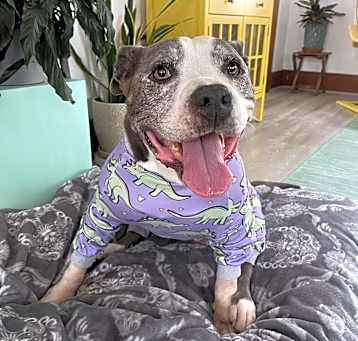 Photo of Gilda