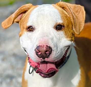Photo of Jake