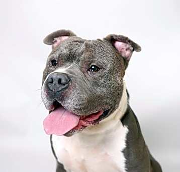 Photo of TANK