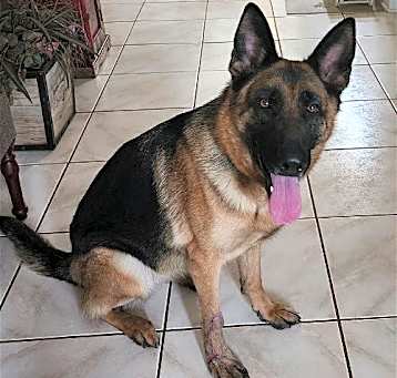 Photo of MILA