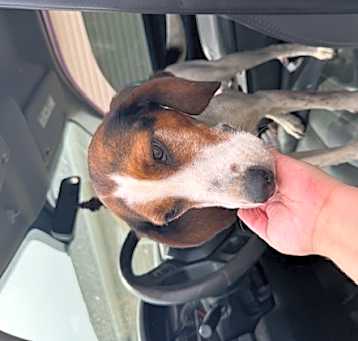 Photo of Roxy