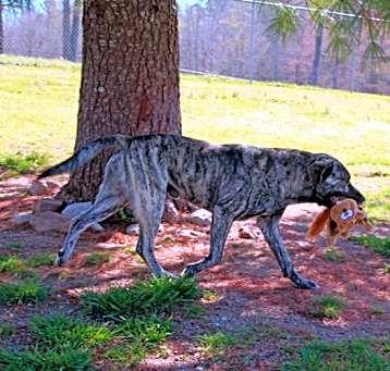 Photo of Kutter