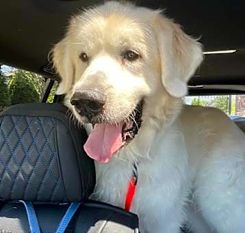 Photo of Brody