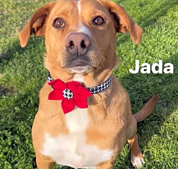 Photo of Jada