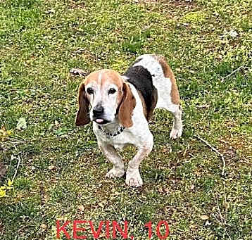 Photo of Kevin