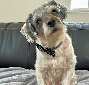 Photo of Jack (CA)