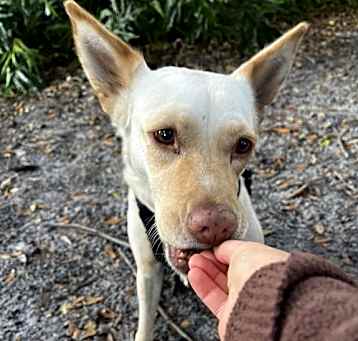 Photo of LiLou