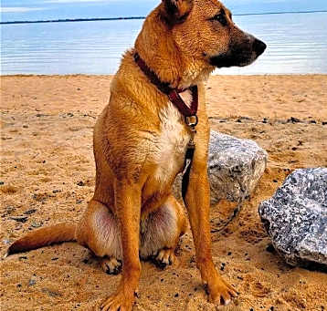 Photo of Giselle