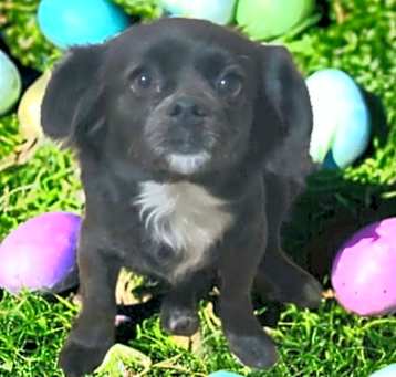 Photo of Adorable Nellita - Petite girl