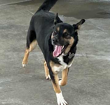 Photo of Cupid