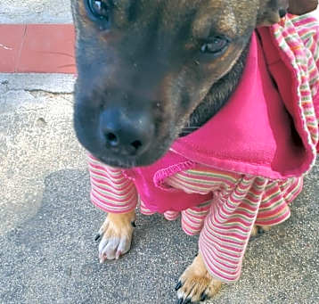 Photo of Baby Chilli :) so calm