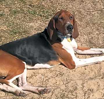 Photo of George