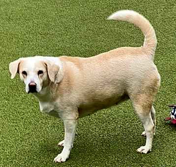Photo of Margarita