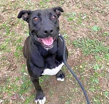 Photo of Kimber