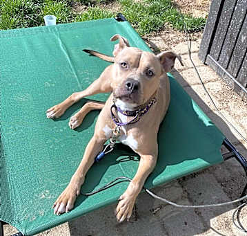 Photo of Gator