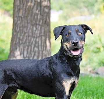 Photo of Marcellus