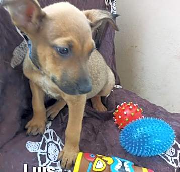 Photo of Lula