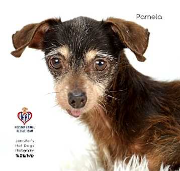 Photo of Pamela