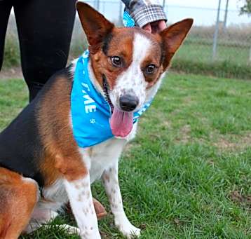 Photo of Argo