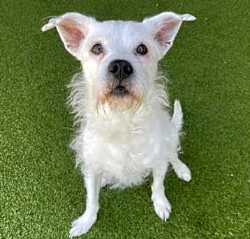 Photo of Tucker
