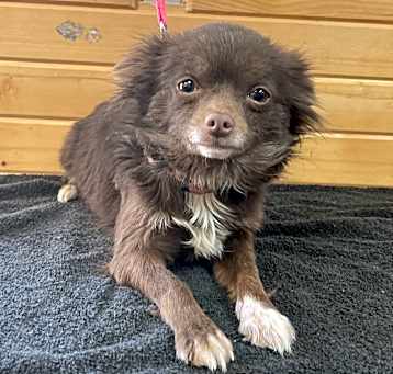 Photo of Mabel